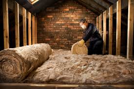 Cabana Colony, FL Insulation Installation & Removal Company