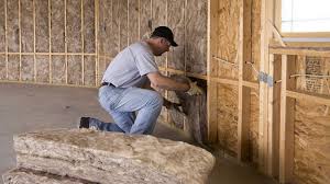 Types of Insulation We Offer in Cabana Colony, FL